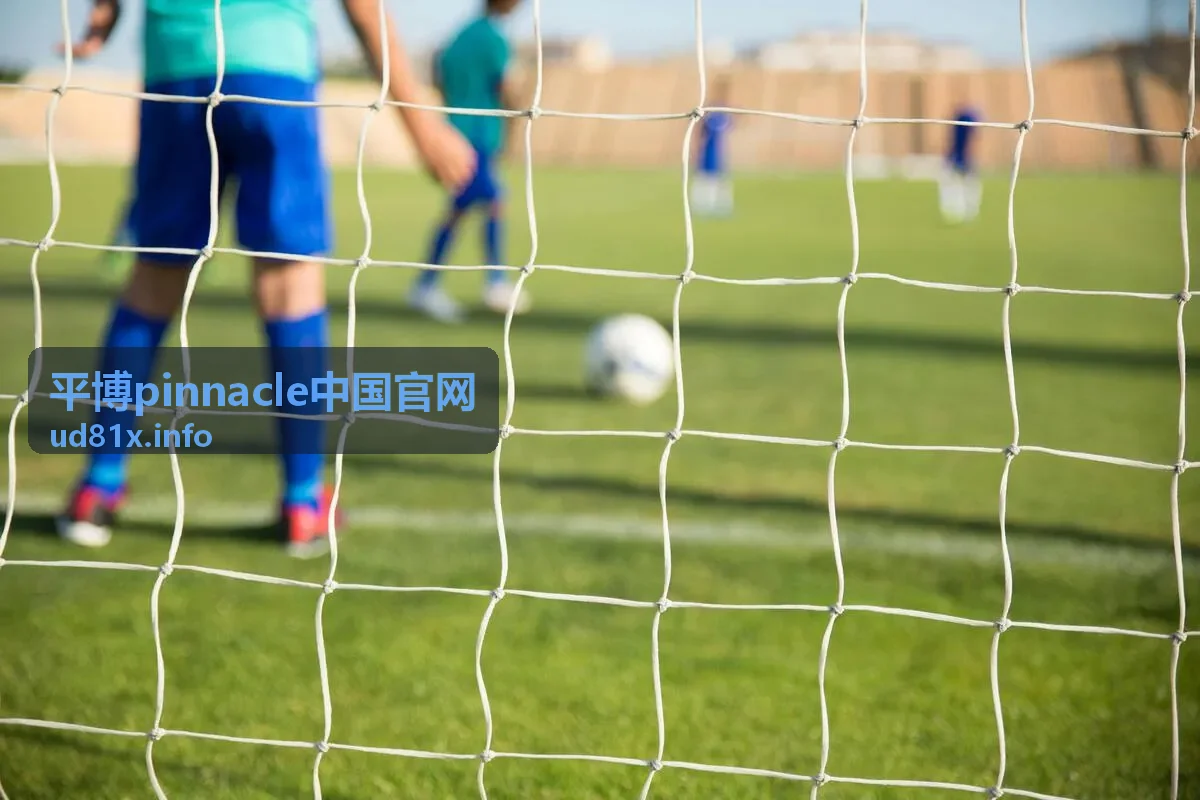 高手常用的五个实用技巧 - 平博pinnacle中国官网玩法攻略